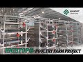 Fully Automatic Egg Layer Battery Cage System