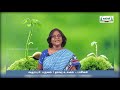 8th Science உயிரியியல் தாவர உலகம்  பாசிகள் அலகு 17 Kalvi Tv 