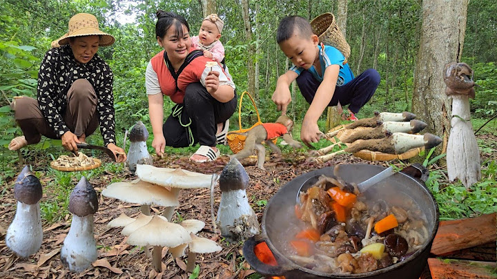 Gift from nature. Unique and strange dishes from wild mushrooms