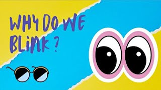 Why do we blink? | Fun facts on blinking | Let's find out
