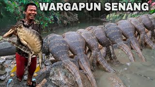 HUNTING MONITOR VIGOS THAT PREDATE CHICKENS || MONITORING LIZARDS || PEST CONTROL