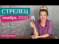 СТРЕЛЕЦ 01-07 ноябрь 2020: таро расклад (гороскоп) на вторую неделю НОЯБРЯ от Анны Ефремовой