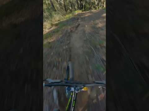 Had a crash today😒 #mtb