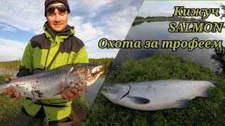 Рыбалка на Камчатке,кижуч,fishing salmon