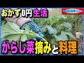 【おかず0円生活】西洋からし菜摘みと料理①
