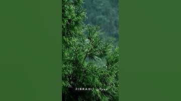 Surah mulk ( full video on youtube) #اللهم_صل_وسلم_على_نبينا_محمد #تلاوة_خاشعة #قرآن #dubai