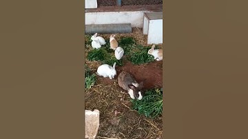 سورة الروم #متابعين #اكسبلور #نوها #عقارات #الداخله #تيك_توك #automobile #ترند #شقق #travel #متابعه