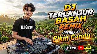 Download lagu Dj Terlanjur Basah Remix Dj Gayo