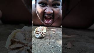 Não faça barulho! Aquela centopeia está prestes a voltar e comer este raspadinha #shortsvideo
