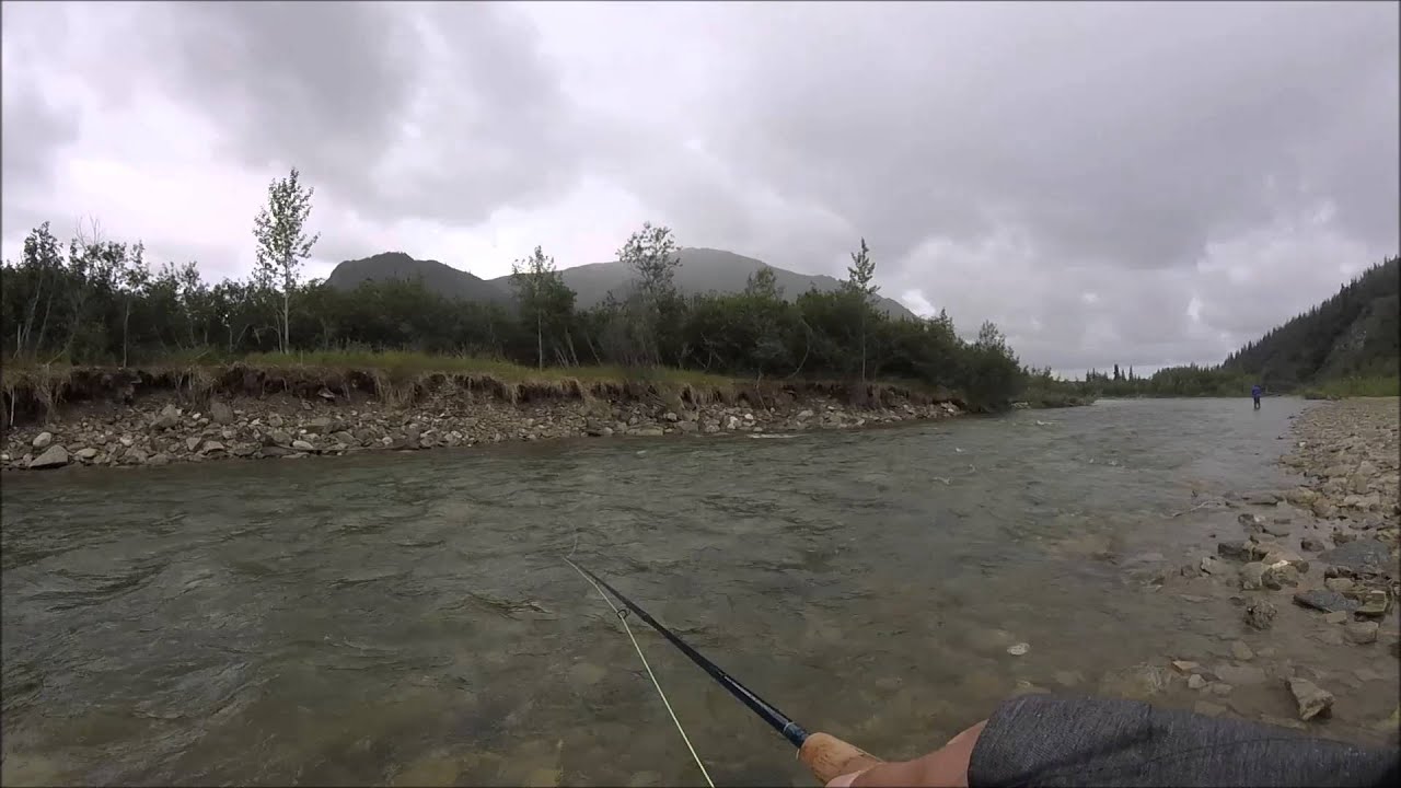 Alaska fly fishing Denali national park YouTube