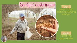 Umgestaltung Von Blumenwiesen Biodiversität Wildbienen Nabu Umweltbildungsstätte Rolfscher Hof