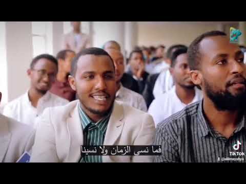 Nashiidaa Afaan Oromoo Haarawa