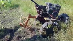 Копаем картошку мотоблоком Каскад.