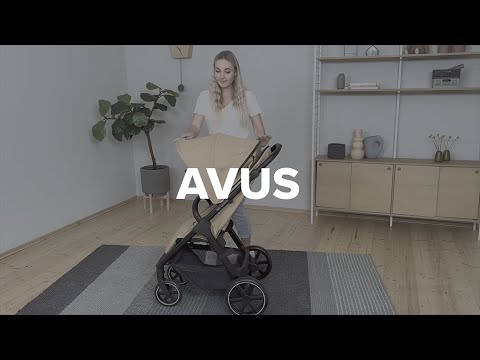 Video Avus carrot 2024