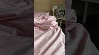 IMG 2646
