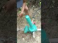How To ЁЭЩиЁЭЩйЁЭЩдЁЭЩе ЁЭЩЦЁЭЩгЁЭЩЩ ЁЭЩеЁЭЩбЁЭЩЦЁЭЩо Ram Pump How To ЁЭЩиЁЭЩйЁЭЩдЁЭЩе ЁЭЩЦЁЭЩгЁЭЩЩ ЁЭЩеЁЭЩбЁЭЩЦЁЭЩо Ram Pump