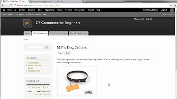 Drupal 7 Commerce Tutorial for Beginners, learn drupal, drupal commerce, lessons