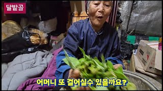 달밭골에 이게 또 왠일이야?