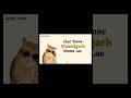 funny se funny video