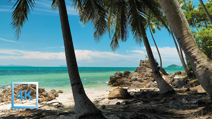 Tropical Beach & Palm Trees on a Island, Ocean Sounds, Ocean Waves, White Noise for Sleeping