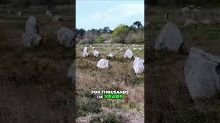 The Truth about the Carnac Stones #history #carnac #mystery