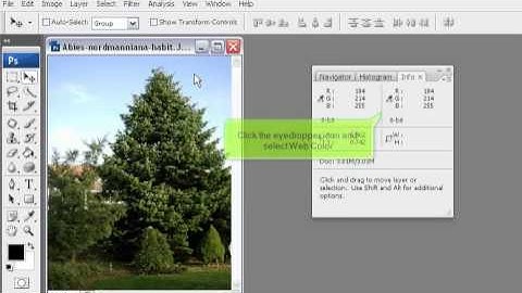 How to get the hex code of a color for your website in Photoshop