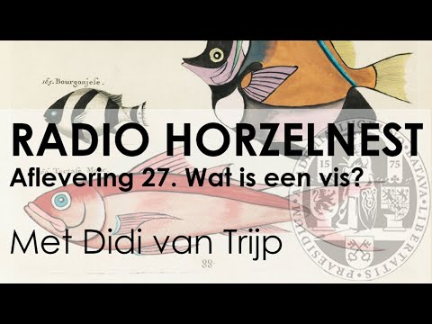 Radio Horzelnest - Aflevering 27: Wat is een vis?