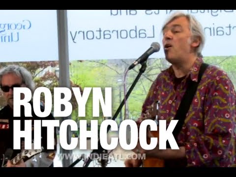 Robyn Hitchcock & the Venus 3 "Saturday Groovers" ...