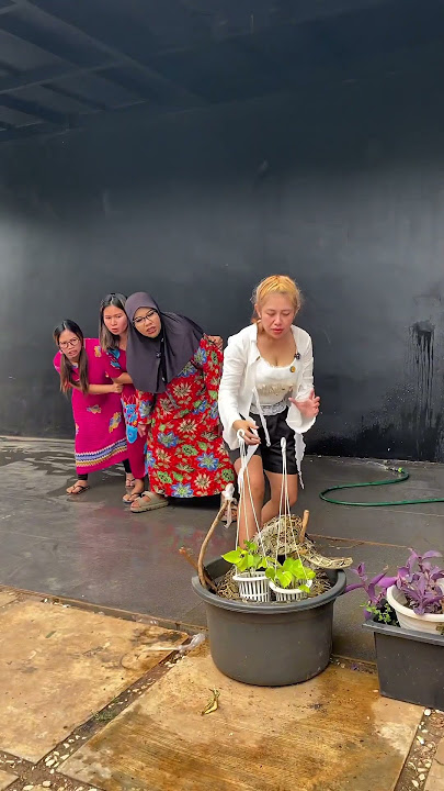Inem Teriak! Kirain Ular Liar, Eh Ular Vebby Keluar Kandang 😱🌱 #shortvideo #shorts #snake