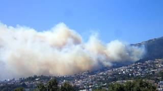 Madeira 2016 Funchal požár Fogo madeira hoje 8.8.17:12 P8080060 zona da Alegria, em São Roque