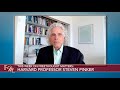 Harvard Professor Steven Pinker