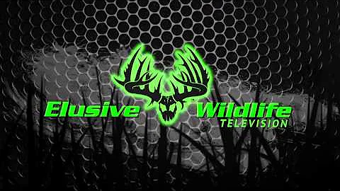 Elusive Wildlife Television, Season 1 Episode 1