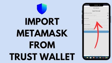 How to Import to Metamask From Trust Wallet (2024)