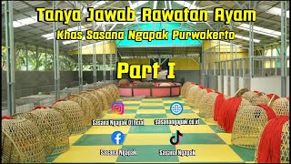 Tanya Jawab Rawatan Ayam Khas Sasana Ngapak Purwokerto - Part 1