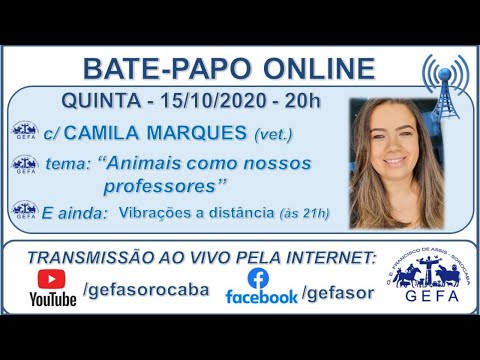 Assista: Bate-papo online - c/ CAMILA MARQUES (15/10/2020)