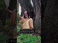 Healing Frequency in Nature - Anxiety Relief, Deep Relaxation