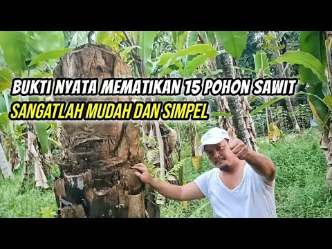 Video: Cara Mematikan Perkhidmatan 