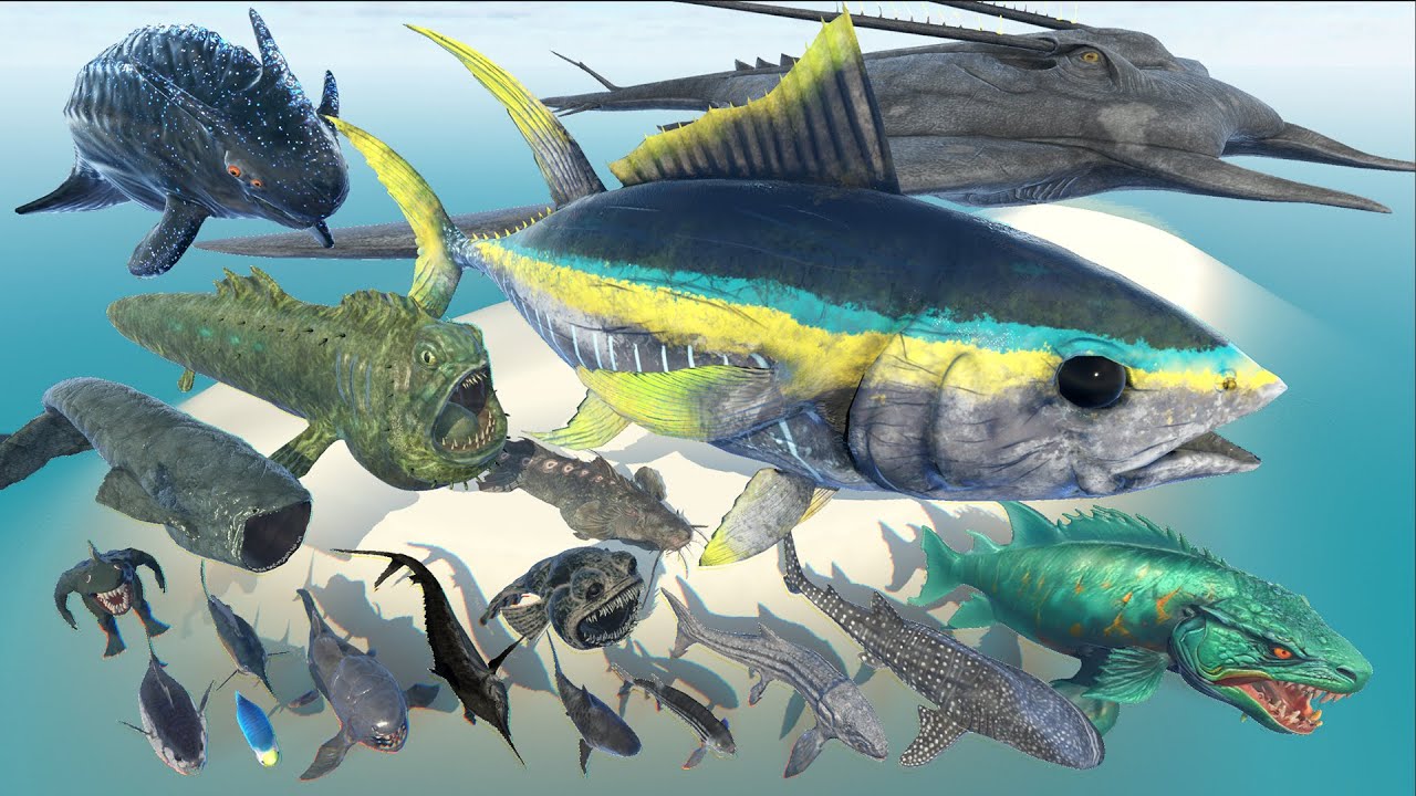 Colossal Tuna Vs Legendary 3D Fishes Size Comparison