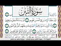 تحفيظ سورة التين مكررة 30 مرة للحفظ والمراجعة والتثبيت وديع اليمني