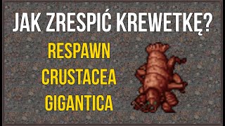 Jak Zrespić Krewetkę | Crustacea Gigantica Respawn