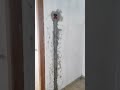 conceal surface electric