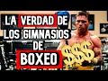 LA VERDAD DE LOS GIMNASIOS DE BOXEO