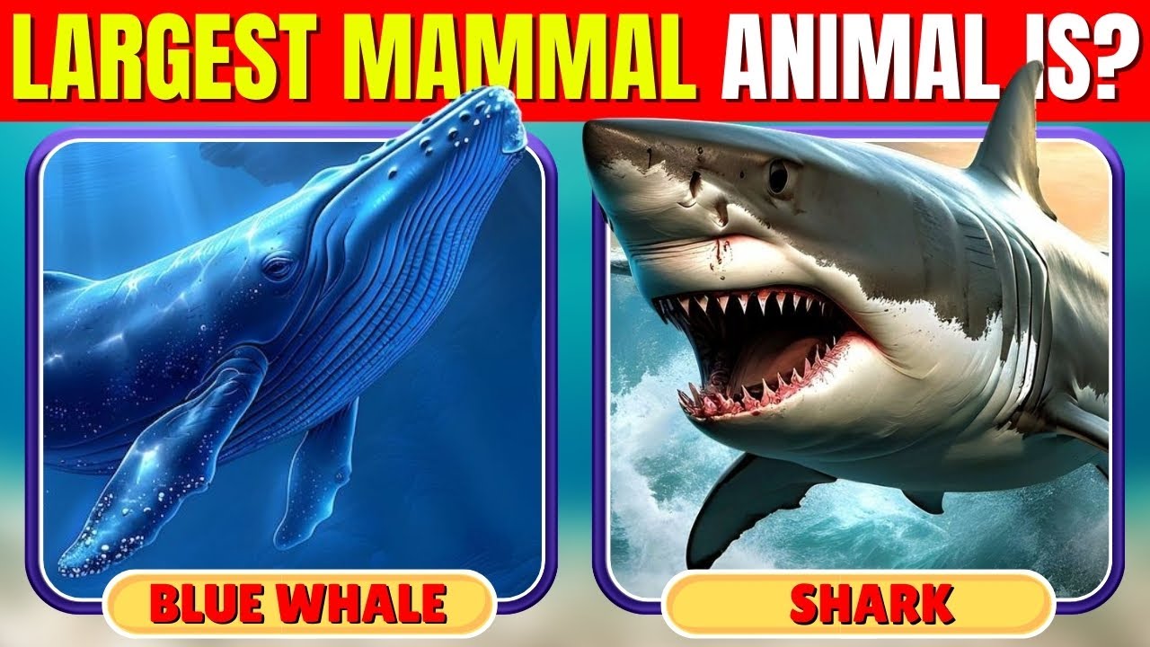 How Good Is Your Knowledge of ANIMALS? 🦅✅🦁 85 Animals Knowledge Trivia Quiz | Quiz Chicken