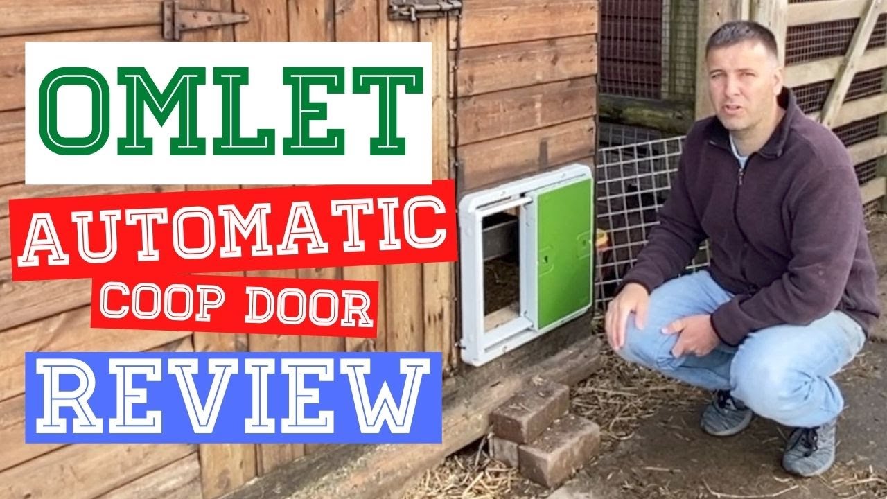 Omlet Automatic Chicken Coop Door Opener Review Would I