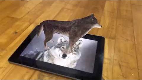 ARKit 2 Demo - Wolf!