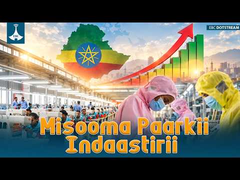 Misooma Paarkii Indaastirii etv |Ebc |Etv Afaan Oromoo|