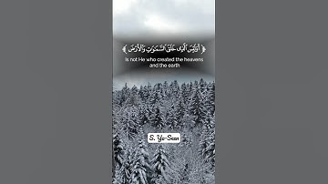 تلاوة من سورة يس🍀أسمع بلقران الكريم❤️ربيع قلوبنا❤️القارئ سعيد العثماني