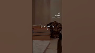اللهم صل على سيدنا محمد #ماهر_المعيقلي #القران_الكريم #المصحف #لايك #اكسبلور #سعد_الغامدي #تلاوات