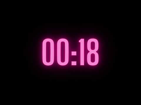 21 Second Timer with Alarm