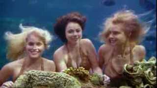 Mako Mermaids Fanmade Opening